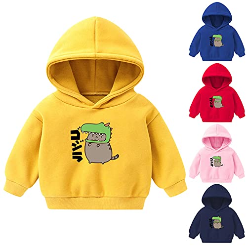 YWLINK NiñO Bebé NiñO NiñA Sudaderas con Capucha CháNdales Color SóLido Sudadera con Capucha Sudadera Jersey De Deportes De Invierno Sudaderas Casuales Camisetas De Color Liso Manga Larga