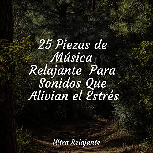 25 Piezas de Música Relajante Para Sonidos Que Alivian el Estrés