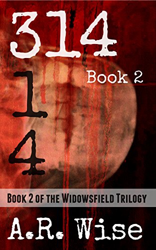 314 Book 2 (Widowsfield Trilogy) (English Edition)