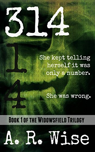 314 (Widowsfield Trilogy Book 1) (English Edition)