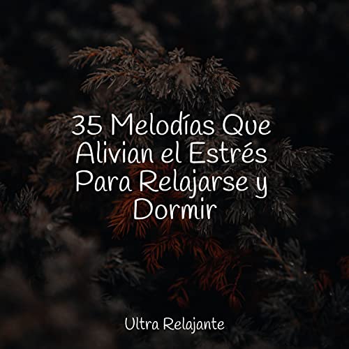 35 Melodías Que Alivian el Estrés Para Relajarse y Dormir