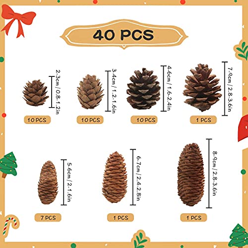 40 Piezas Piñas Decorativas Navidad, Paquete a Granel de Conos de Pino Secado Natural - Tmaño Grande Mediano y Pequeño, Piñas Decorativas para Mesa árbol Manualidades Regalos Halloween Navideña