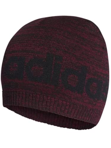 adidas Gorro Marca Modelo Daily Beanie LT