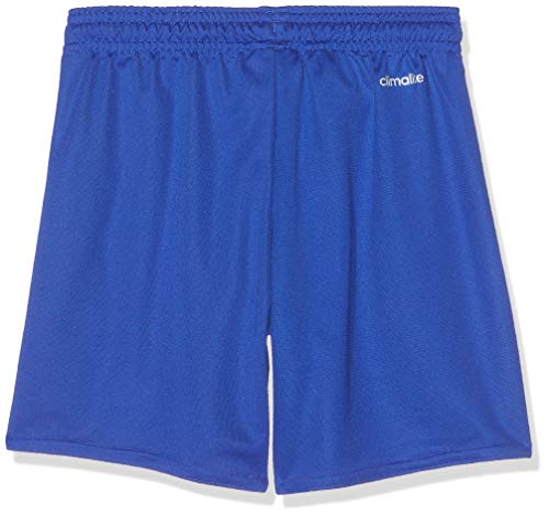 adidas Parma 16 SHO Shorts, Hombre, (Azul Claro/Blanco), M