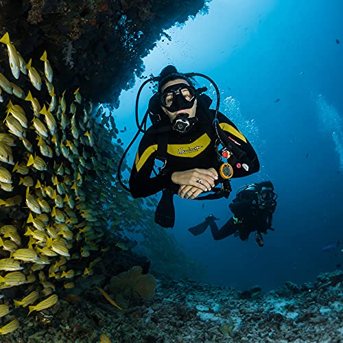 ALADINIA Bautismo de Buceo. Pack de Experiencias para Regalar. Cofre Regalo de Bautismo de Submarinismo para una Persona. No Caduca, Cambios de Experiencia Gratis e Ilimitados