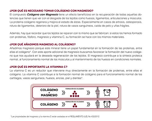 AMLsport - Colágeno con magnesio + vit c, b1, b2 y b6 – 350 gramos (sabor fresa) articulaciones fuertes. Regenerador de tejidos con colágeno hidrolizado tipo 1 y 2. Envase para 46 días.