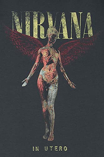 Amplified Nirvana-In Utero Colour Camiseta, Gris (Charcoal CC), M para Hombre