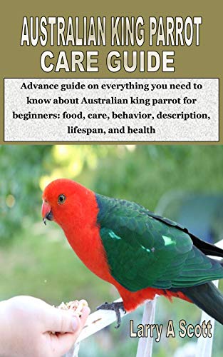 AUSTRALIAN KING PARROT CARE GUIDE: Advance guide on everything you need to know about Australian king parrot for beginners: food, care, behavior, description, lifespan, and health (English Edition)