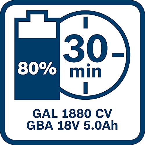 Bosch Professional GBA 18V 5.0Ah - Batería de litio (1 batería x 5.0 Ah, 18V)