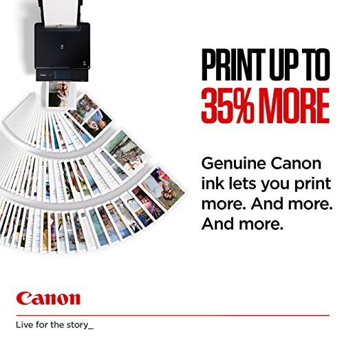 Canon PG-540XL+CL-541XL tinta original BK XL+Tricolor XL Impresora Inyeccion tinta Pixma MG2150-2155-2250-2255-3150/55-3250/55-3550-3650-3650S-4150-4250-MX375-395-435-455-475-515-525-535S-TS5150-5151