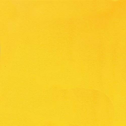 Cartulina amarillo piña - 12 x 12 inch / 30,5 cm x 30,5 cm - 65Lb Cover / 176g/m² - 25 Unidades