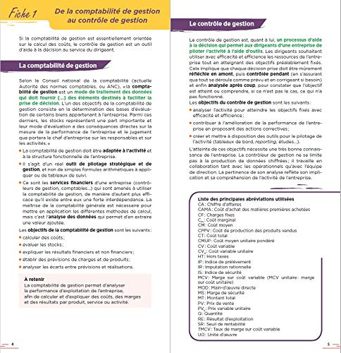 Contrôle de gestion en 48 pages: Apprendre vite et bien (Fast & Curious)