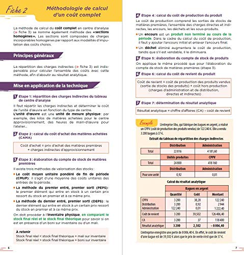 Contrôle de gestion en 48 pages: Apprendre vite et bien (Fast & Curious)