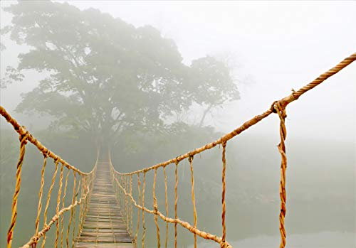 Cuadro Lienzo Viaje por la Jungla – Puente Colgante - Lienzo de Tela Bastidor de Madera de 3 cm - Fabricado en España - Impresión en Alta resolución – 56x80