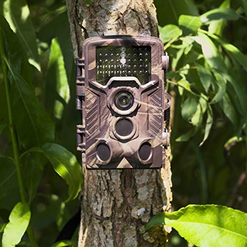 Denver WCM-8010 Cámara de Vigilancia para Caza 2G, Videocámara de Naturaleza Impermeable, Nocturna, 8 MP 1080p, marrón