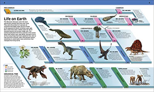 Dinosaur!: Dinosaurs and Other Amazing Prehistoric Creatures As You've Never Seen Them Before (Knowledge Encyclopedias)