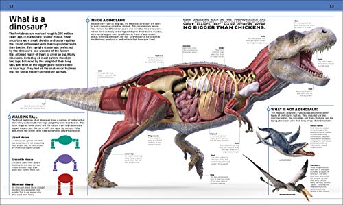 Dinosaur!: Dinosaurs and Other Amazing Prehistoric Creatures As You've Never Seen Them Before (Knowledge Encyclopedias)