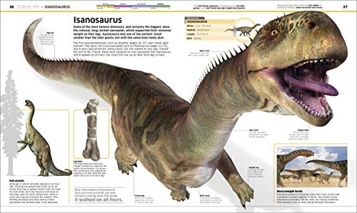 Dinosaur!: Dinosaurs and Other Amazing Prehistoric Creatures As You've Never Seen Them Before (Knowledge Encyclopedias)
