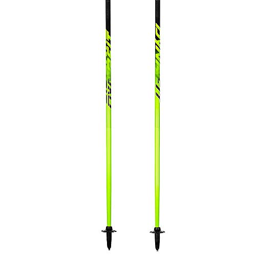 Dynafit Vert Pro Pole Bastón de Senderismo, Adultos Unisex, Black/Catus (Negro), 120