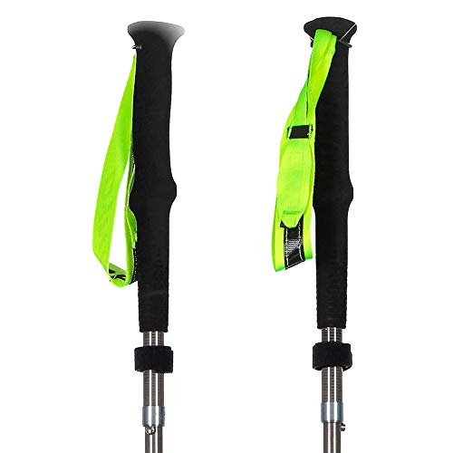 Dynafit Vert Pro Pole Bastón de Senderismo, Adultos Unisex, Black/Catus (Negro), 120