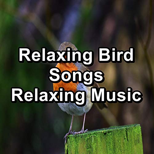 Easy Listening Bird Sounds