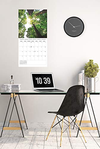 ERIK - Calendario de pared 2021 Zen Nature, 30x30 cm