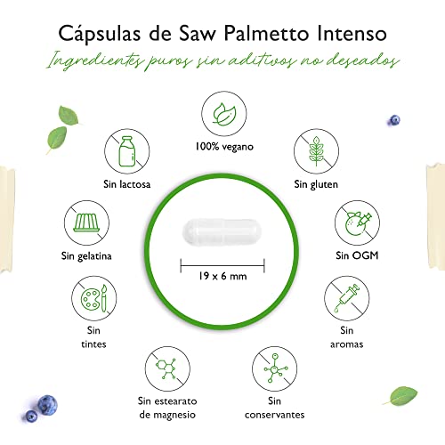 Extracto de palma enana americana - 180 cápsulas con 500 mg de extracto - Premium: 5% de fitoesteroles = 25 mg - Extracto de palma enana americana en dosis altas - Vegano