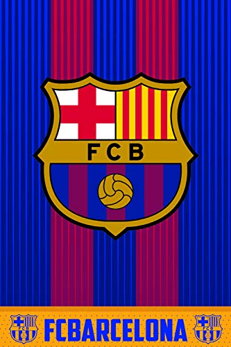 FC Barcelona Manta Polar, FCB160