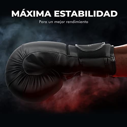 FIGHTR Guantes de Boxeo, Ideales para Estabilidad y Fuerza de Impacto, Guantes para Boxeo, MMA, Muay Thai, Kickboxing y Artes Marciales, Incluye Bolsa de Transporte (All Black, 10 oz)