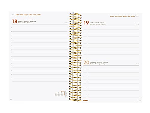 Finocam - Agenda 2022 Diaria de Enero 2022 a Diciembre 2022 (12 meses) E10 - 155x212 mm Espiral Design Collection Goldy Internacional