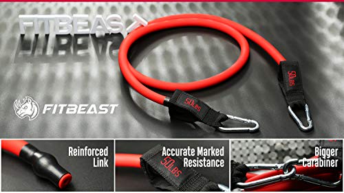 FitBeast Set de Bandas de Resistencia para Bandas para Entrenamiento 11PC con Tubos Resistentes, Manijas de Hule Espuma, Correa para Tobillos, Anclaje para Puerta para Gimnasio en Casa, Terapia Física