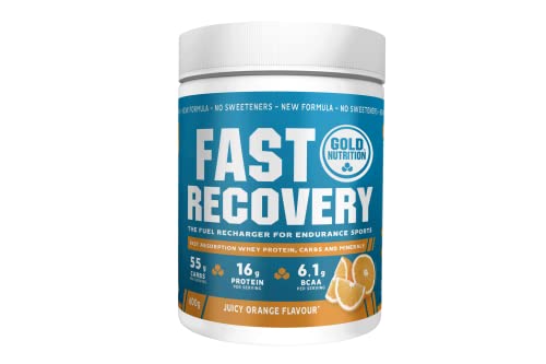 Gold Nutrition Fast Recovery 600 gr Sabor Naranja