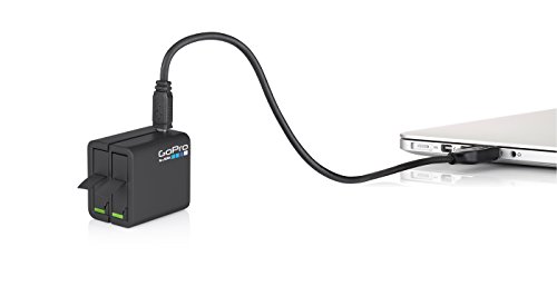 GoPro AHBBP-401 - Cargador de batería Dual y batería para GoPro Hero4, Color Negro