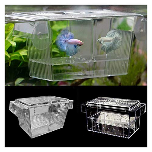 GUANGHEYUAN-J Caja Mini House Aquarius INCUBIRADOR INCUBIRADOR Cubierta Caja TERMOS TERMOS DE Dos Capa para CRIENDA DE Pescado CRIENDADORES FLOTANTES Transparentes