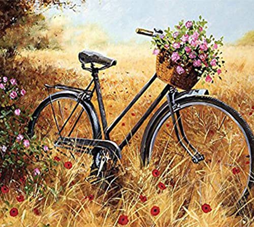 Kit de punto de cruz para adultos DIY Cesta de flores de bicicleta Cross Stitch estampado costura patrón de bordado regalo-11CT Lienzo preimpreso decoración del hogar-40x50cm