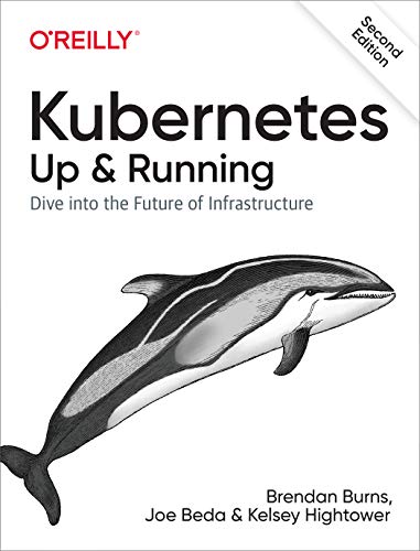 Kubernetes: Up and Running: Dive into the Future of Infrastructure (English Edition)