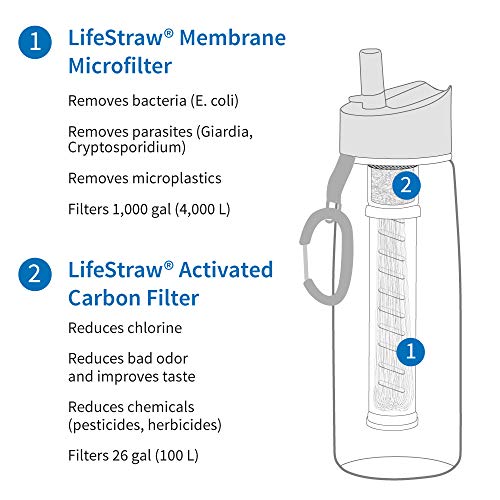 LifeStraw Go Botella de agua con filtro; 22 oz; gris/transparente; paquete de 2