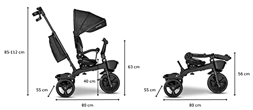LIONELO Kori Bicicleta 2 en 1 Niño hasta 25 kg 1,5-5 años Triciclo y bicicleta de paseo Cinturones de 3 puntos con fundas Cubierta de llanta pesa solo 9 kg 2 cestas para juguetes Gris