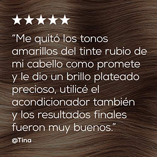 L'Oreal Professionnel Champú Silver, Gris, 500 Mililitros