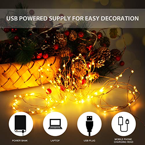 Luces Led USB, Ariceleo 1 Piezas 5 Metros 50 LED Mini LÁMpara Alambre de Cobre Guirnalda Cadena Luces de Navidad para Casa Dormitorio Navidad Habitacion Fiestas Boda DecoraciÓN(Blanco CÁLido)