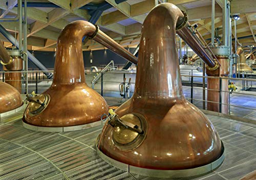 Macallan Sherry Oak 12 Años Single Malt Whisky Escoces, 40% - 700 ml