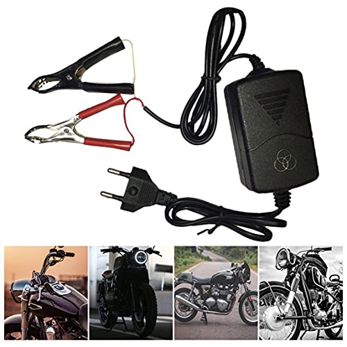 MeterBew1147 Auto Car Motocicleta ATV DC 12V / 1A 15W Cargador de batería Recargable multimodo portátil Universal Tender Maintainer-Black EU