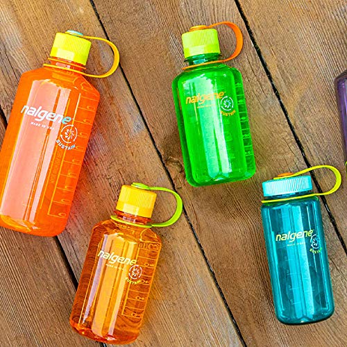 Nalgene Everyday Bidón con Boca Estrecha 0,5 l, Unisex, Azul, 0,5 litros