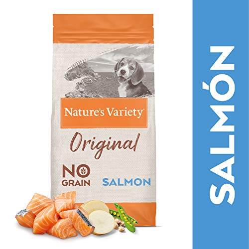 Nature's Variety Original No Grain - Pienso para perros junior con salmón sin espinas, 12 kg