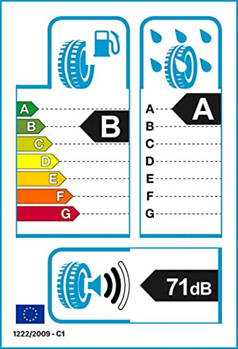 NEUMÁTICO VREDESTEIN SPORTRAC 5 185 65 R15 92V VERANO TL XL AO PARA COCHES