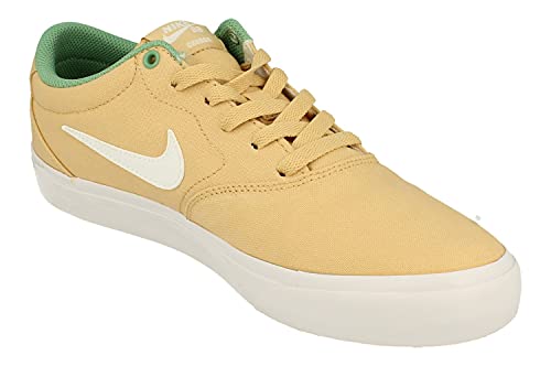 Nike SB Charge Cnvs Hombre Trainers CD6279 Sneakers Zapatos (UK 7 US 8 EU 41, Sesame White Healing Jade 203)