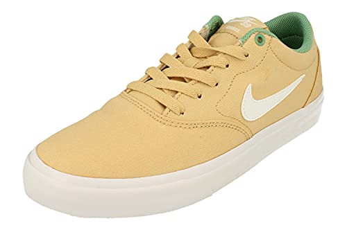 Nike SB Charge Cnvs Hombre Trainers CD6279 Sneakers Zapatos (UK 7 US 8 EU 41, Sesame White Healing Jade 203)