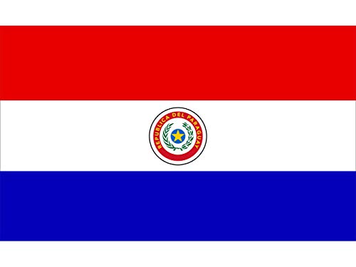 Oedim Bandera de Paraguay 85x1,50cm | Reforzada y con Pespuntes | Bandera con 2 Ojales Metálicos y Resistente al Agua