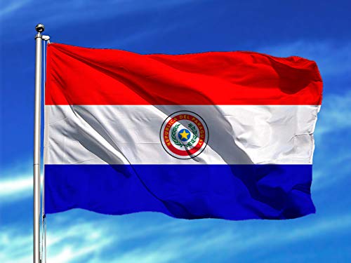 Oedim Bandera de Paraguay 85x1,50cm | Reforzada y con Pespuntes | Bandera con 2 Ojales Metálicos y Resistente al Agua