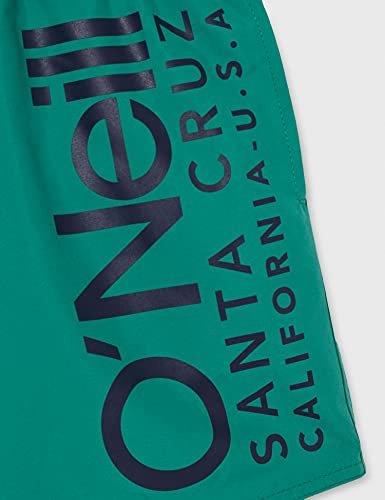 O'Neill Pm Original Cali Shorts, Bañador para Hombre, Verde (6168 Ivy), M